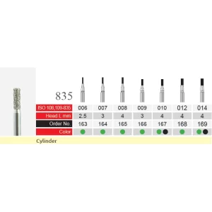 فرز الماسه مدل فیشور BTM Diamond Cylinder – 835
