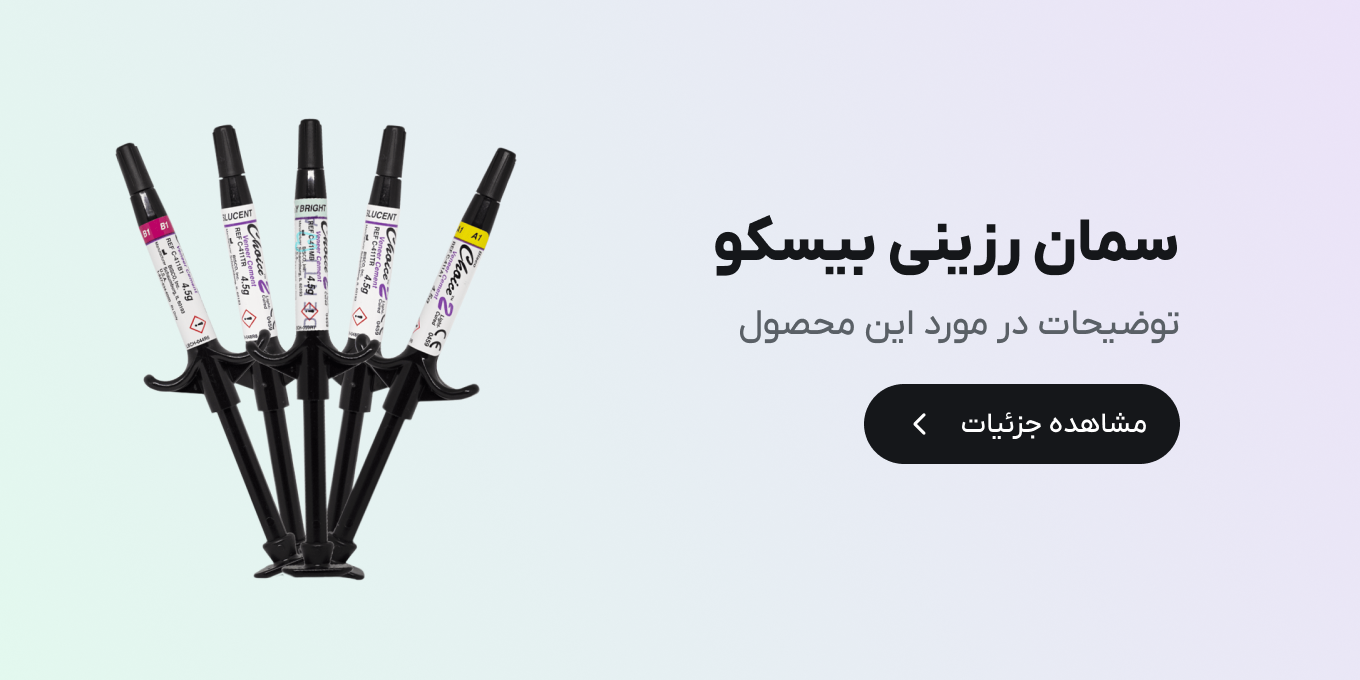 سمان رزینی بیسکو چویس2
